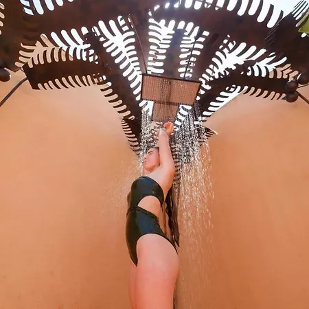 La Casa Del Cipres Casa Con Historia *